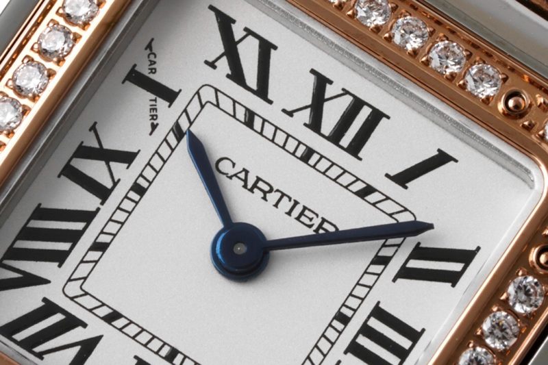 Cartier Panthère de Cartier Small 4