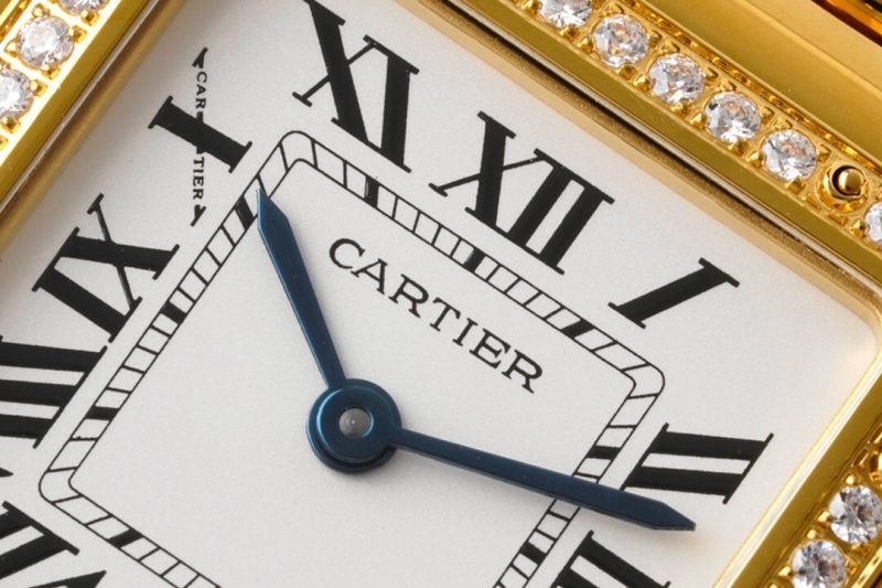 Cartier Panthère de Cartier Medium 5