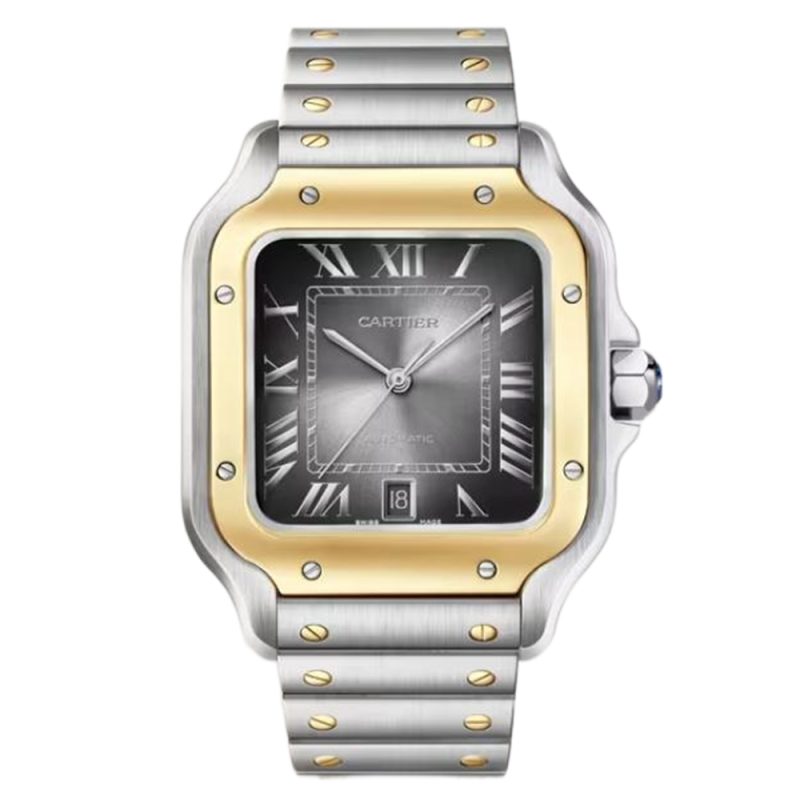 Cartier Santos W2SA0030 Large