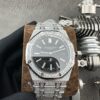 Audemars Piguet Iced Out Watch #002
